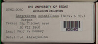 Image Associated With the Occurence